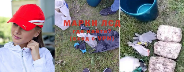 Альфа ПВП Новодвинск