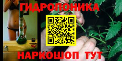 не бодяженный Бийск