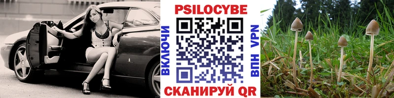 Псилоцибиновые грибы мицелий  наркотики  Рязань 