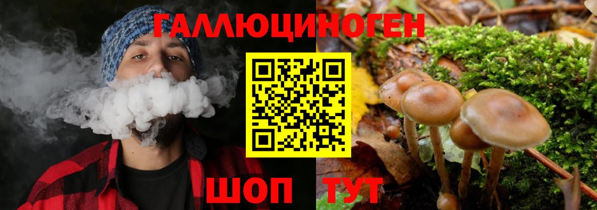 Псилоцибиновые грибы ЛСД Рязань